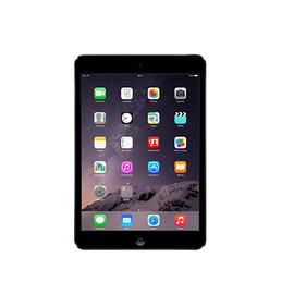 iPad mini (1-3)