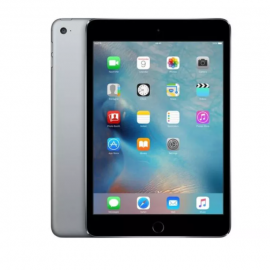 iPad Mini (4)